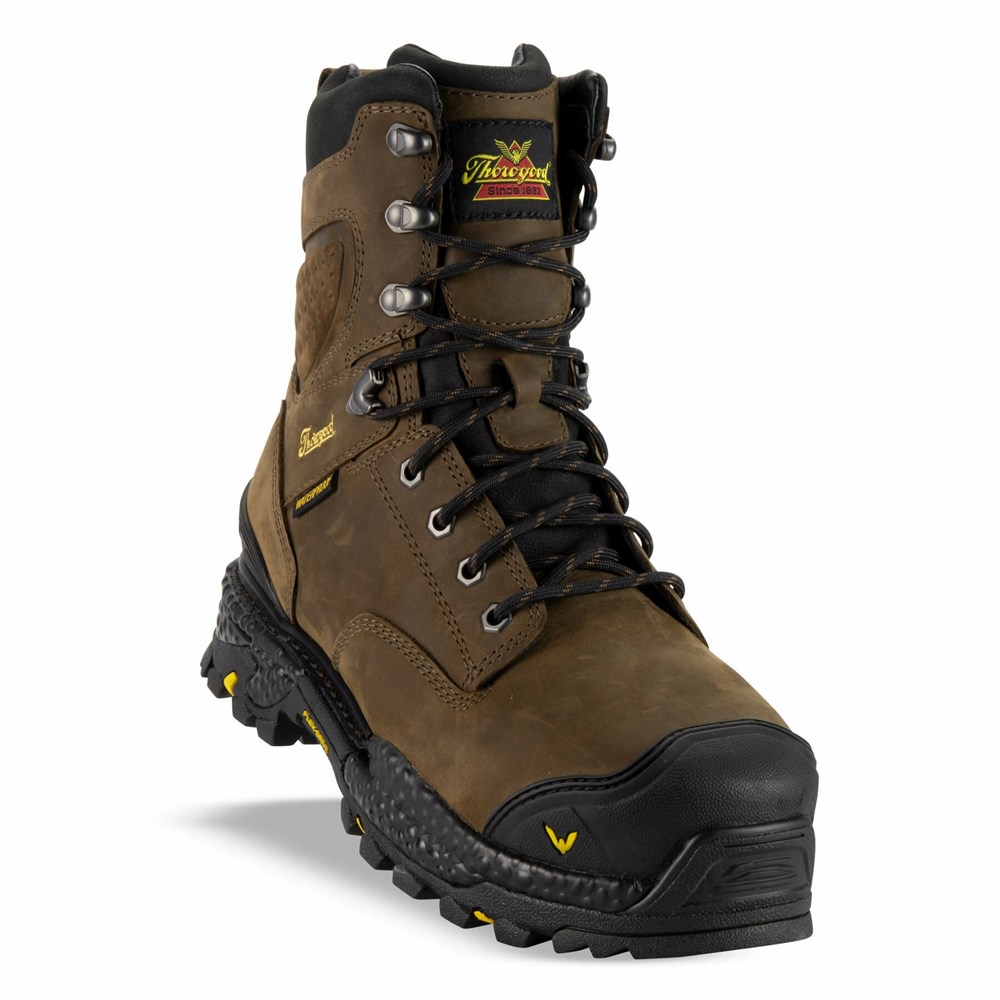 Brown Men's Thorogood Infinity Fd Series - 8″ Studhorse Waterproof Safety Toe Boot Waterproof Work Boots | 45970-DYGP