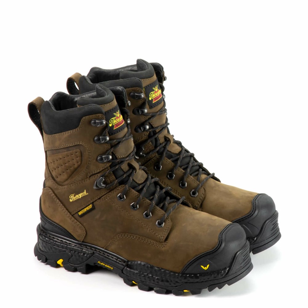 Brown Men's Thorogood Infinity Fd Series - 8″ Studhorse Waterproof Safety Toe Boot Waterproof Work Boots | 45970-DYGP