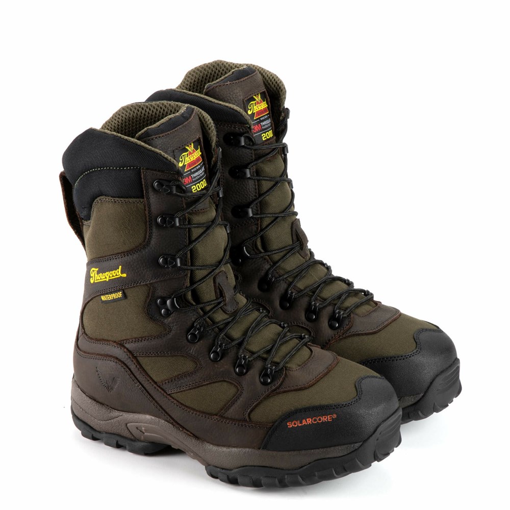 Brown Men's Thorogood Mountain Ridge Insulated With Solarcore Hunting Boots | 12798-QXUK